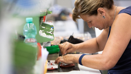 TITLE_SV_SE does not exist